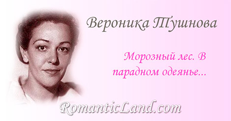 Морозный лес. В парадном одеянье деревья-мумии, деревья-изваянья... Я восхищаюсь этой красотой,